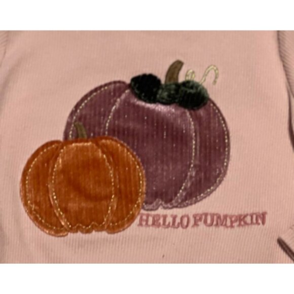 Mud Pie pumpkin patch Halloween Fall Thanksgiving pink ribbed shirt 12-18m NWT - Picture 2 of 2